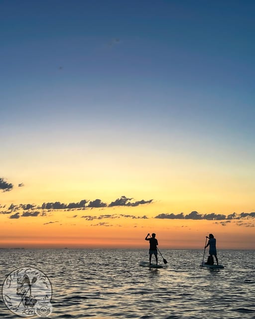 Cala Ratjada: Stand Up Paddle Sunrise Tour - A short lesson before you enter the water