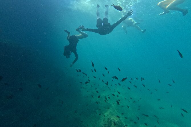 Cala Varques: Guided kayak Sea caves expedition & snorkeling - Booking, weather, and practical planning