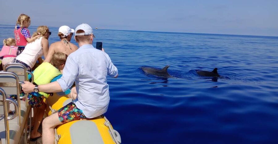 Can Picafort: Dolphin Watching Boat Tour with Swimming - Key details at a glance