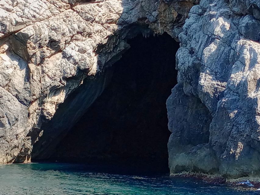 Can Picafort: Dolphin Watching Boat Tour with Swimming - Swimming and snorkeling in the cove