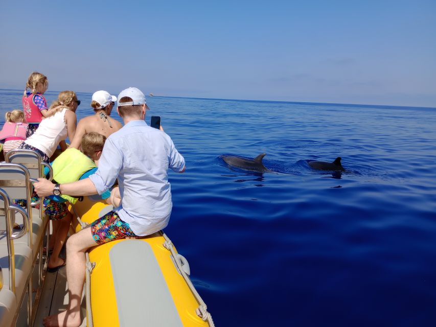 Can Picafort: Dolphin Watching Boat Tour with Swimming - Finding dolphins in their own environment