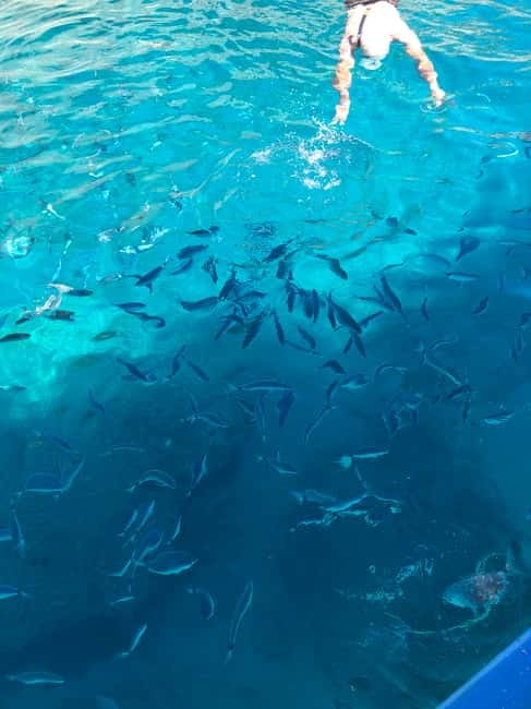 Can Picafort or Alcudia: Customizable Private Boat Day Trip - What three hours really gives you