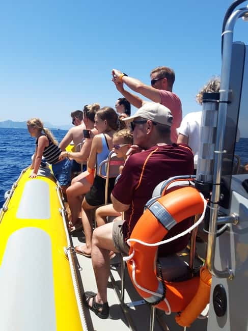 Can Picafort or Alcudia: Customizable Private Boat Day Trip - Choosing Formentor, Alcudia, or Pollensa Bay