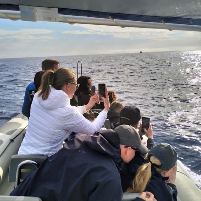 Can Picafort or Alcudia: Customizable Private Boat Day Trip - Should you book the Can Picafort private boat trip?