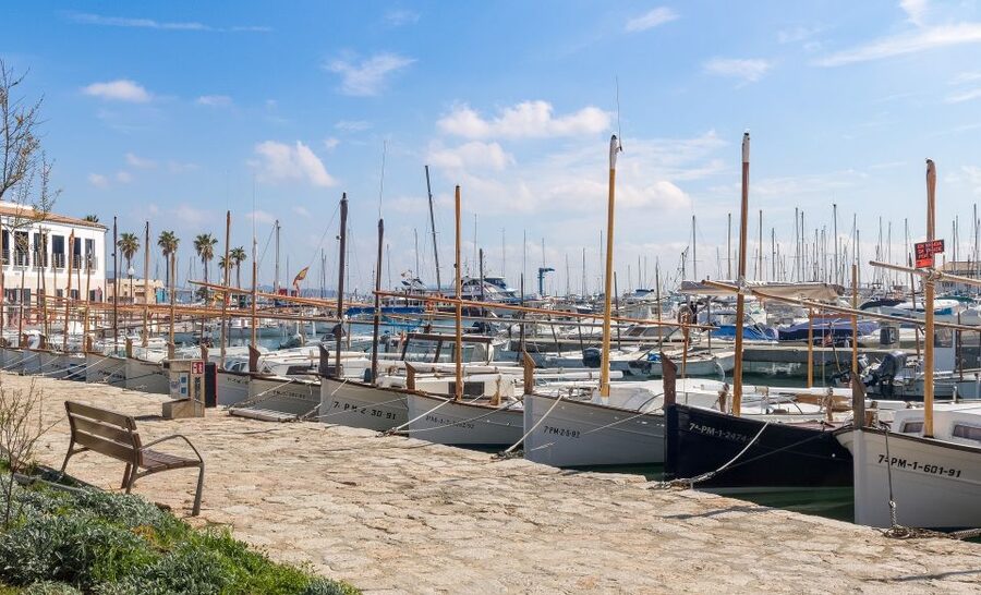 Cap de Formentor: Market, Beach, and Alcudia Tour - Formentor Beach: the day’s best pause