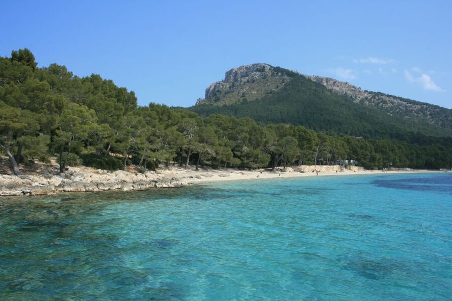 Cap de Formentor: Market, Beach, and Alcudia Tour - Who should book this tour?