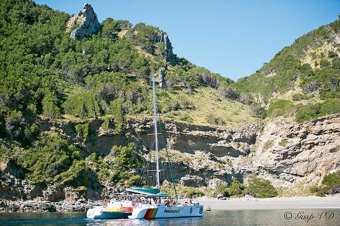 Catamaran Cruise from Port d'Alcudia with Lunch and Swim Stop - Is $86.50 Good Value?