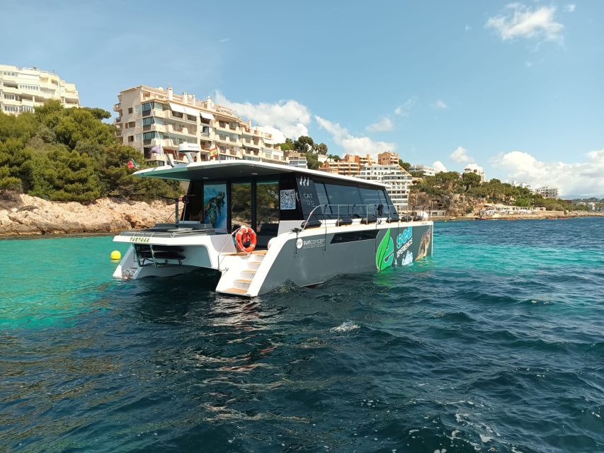 CATAMARAN ECO EXPERIENCE at Palma Bay - Choosing morning, afternoon, or sunset