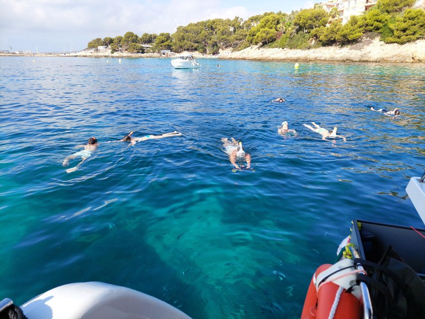 CATAMARAN ECO EXPERIENCE at Palma Bay - Practical details that can make or break the day