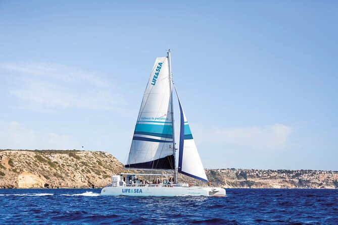 Catamaran with BBQ in the Bay of Palma - Key points before you book