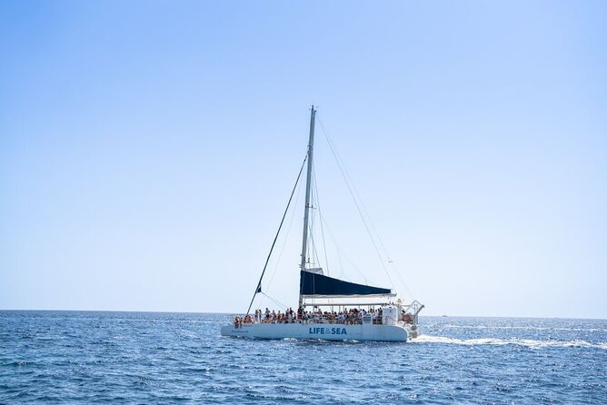 Catamaran with BBQ in the Bay of Palma - Practical details for a smoother day
