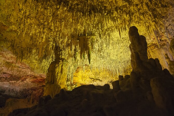 Caves Drach Boat Trip from Alcudia with Return Bus and Tickets - Entering the caves without a ticket-office wait