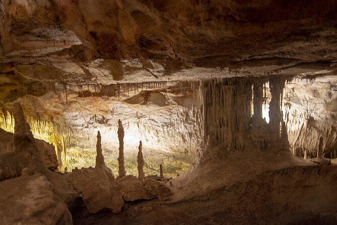 Caves Drach Boat Trip from Alcudia with Return Bus and Tickets - Is $65.53 a fair price?