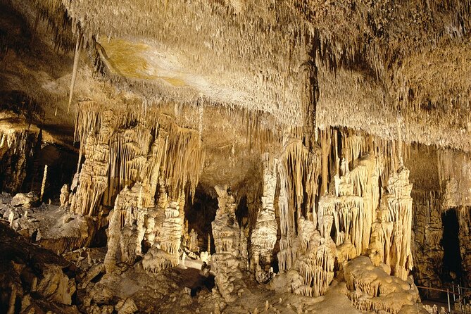 Caves Drach Tour & Return Transfer from Cala Dor-Calas Mallorca - Entering the caves with tickets already arranged