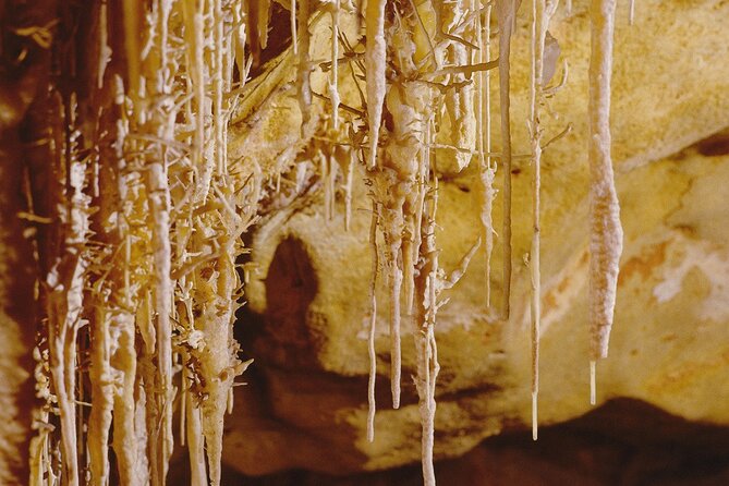 Caves Drach Tour & Return Transfer from Cala Dor-Calas Mallorca - Lake Martel’s 15-minute concert