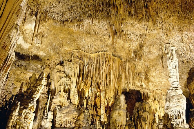 Caves Drach Tour & Return Transfer from Cala Dor-Calas Mallorca - What $67.49 includes in practical terms