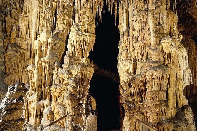 Caves Drach Tour & Return Transfer from Cala Dor-Calas Mallorca - Getting from Cala d’Or to Porto Cristo