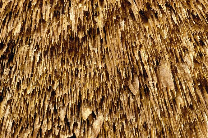 Caves of Drach Half-Day Tour with Boat Trip and Music Concert - Who Should Book This Half-Day Excursion?