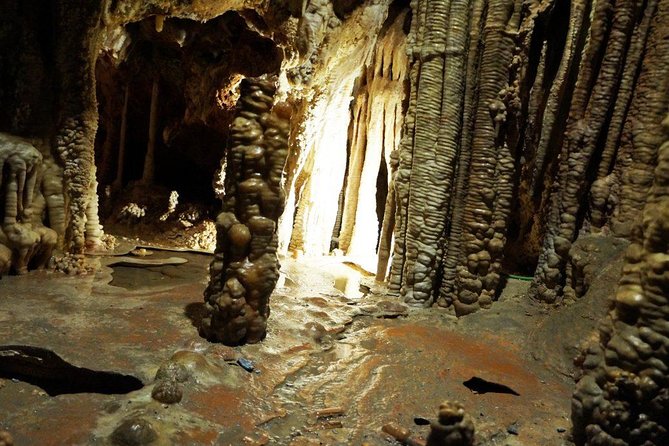Caves of Genova Admission in Palma de Mallorca - The short route from the entrance to the formations