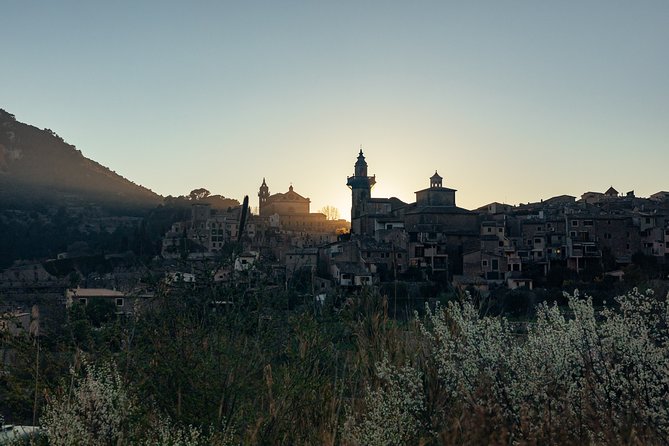 City Discovery: Valdemossa Private Day Trip - Why Valldemossa works as a half-day trip