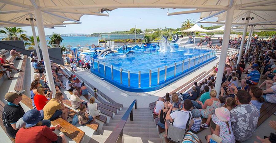 Costa d'en Blanes: Entry Ticket for Marineland Mallorca - Flamingos, Humboldt Penguins, and the Aviary
