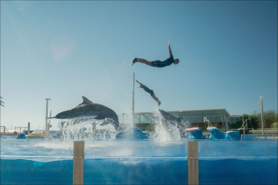 Costa d'en Blanes: Entry Ticket for Marineland Mallorca - Inside the Tropical House