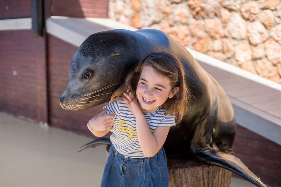 Costa d'en Blanes: Entry Ticket for Marineland Mallorca - Is the $35 Ticket Good Value?