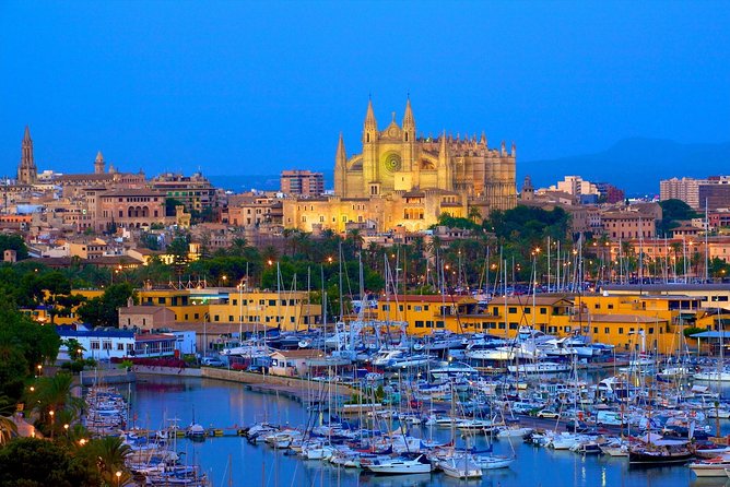 Discover the major cultural attractions of Palma De Mallorca on a Private Tour - Passeig des Born and Palma’s central streets