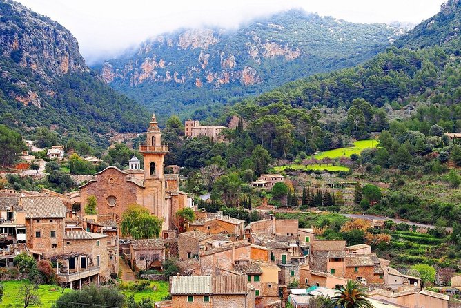 Discover the major cultural attractions of Palma De Mallorca on a Private Tour - Who will get the most from this Palma tour?