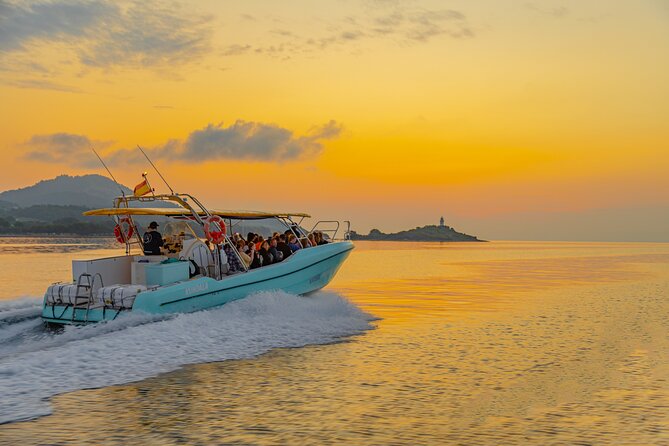 Dolphin watching by boat - What the crew adds to the morning