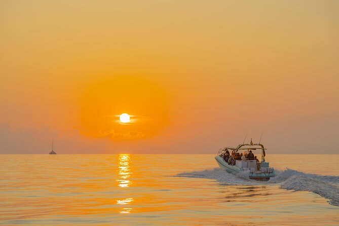 Dolphin watching by boat - Timing, weather, and practical limits