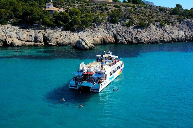 Dolphin Watching in Mallorca (Paguera) - Starting from Paguera for a southwest-coast cruise