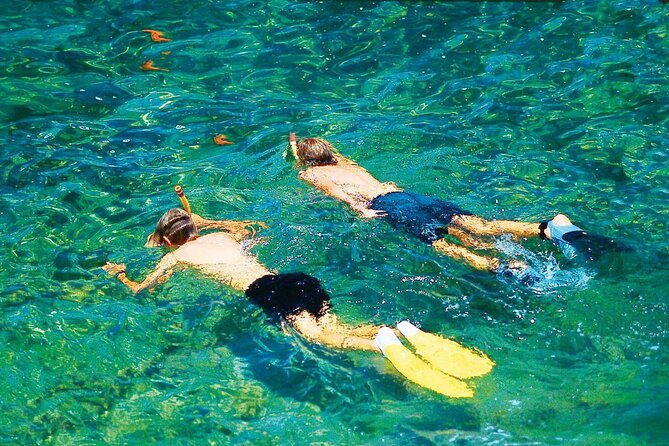 Dolphin Watching in Mallorca (Paguera) - Passing Cala Fornells and the southwest coast