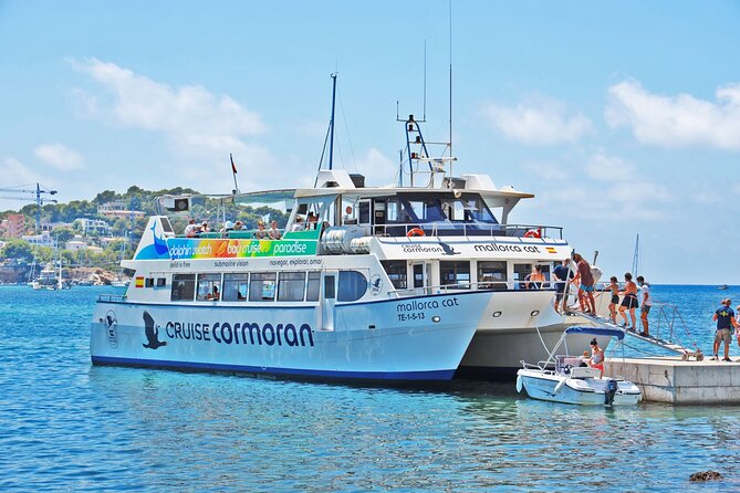 Dolphin Watching in Mallorca (Paguera) - Searching for dolphins beyond Paguera