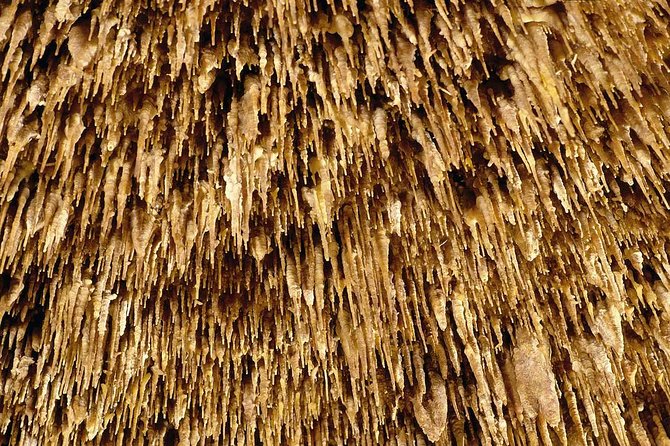 Drach Caves and Pearl Shop Mallorca Half Day Tour - Is $66.16 good value from Palma?