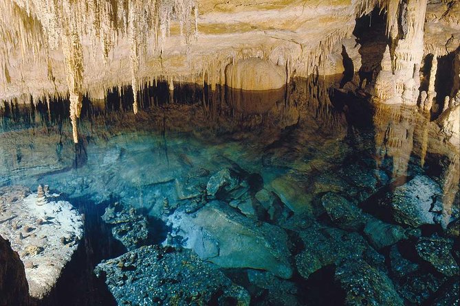 Drach Caves and Pearl Shop Mallorca Half Day Tour - Who should book this half-day tour?