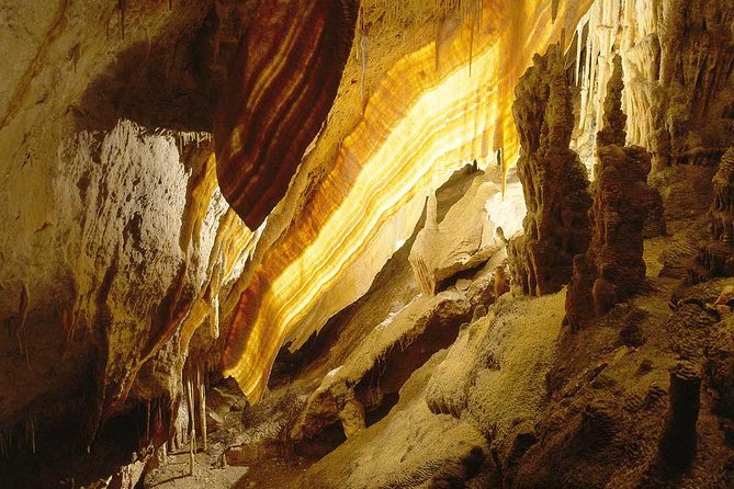 Drach Caves and Pearl Shop Mallorca Half Day Tour - The coach ride from Palma to Porto Cristo