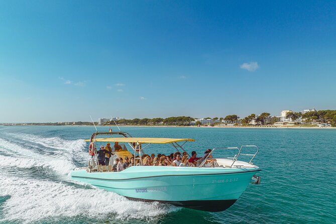 Enjoy crystal clear waters for 2 hours - What to bring, and what not to expect