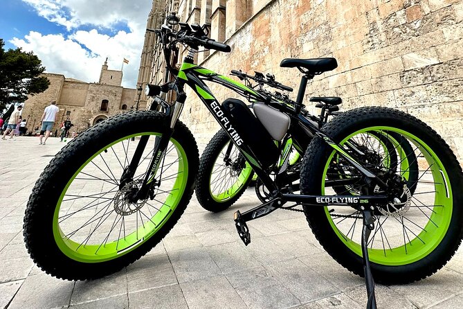 Exclusive Fat Tire E-Bike Tour in Palma - Portixol and El Molinar by bicycle