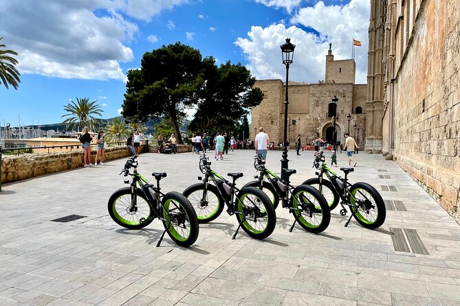 Exclusive Fat Tire E-Bike Tour in Palma - Passeig del Born, Palma’s elegant boulevard