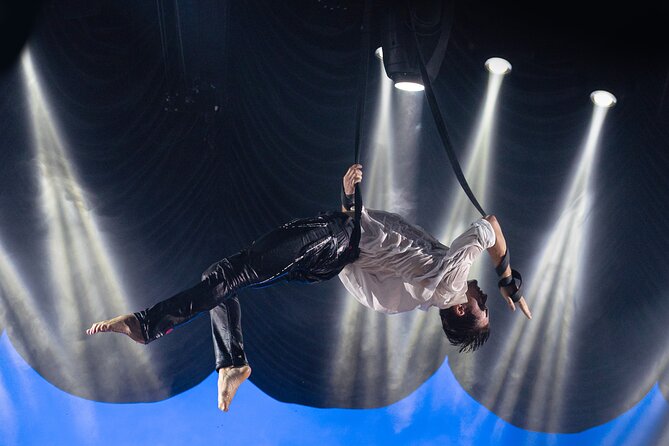 EXHIBIT - Acrobatics, Dance & Art - Who will enjoy EXHIBIT most?