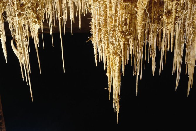 Explore Mallorca: Majorica Pearl Shop and Caves of Drach - Majorica Pearls, shopping, and Porto Cristo