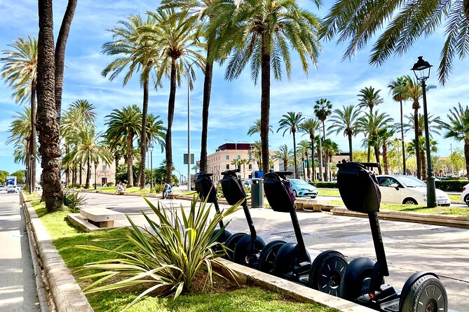 Express 1 hour Segway Tour - Sa Llotja and Gothic commercial Palma