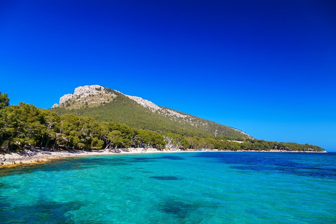 Formentor with boat trip + local market - Why this tour works for seeing northern Mallorca