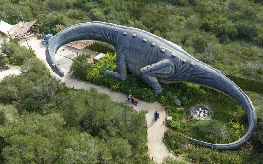 From Alcúdia: Dinosaurland and Hams' Caves Half-Day Trip - Key points to know before booking