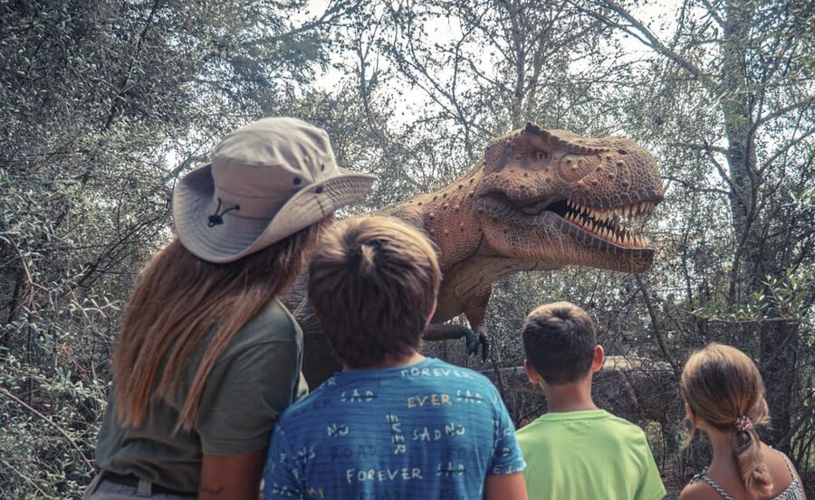 From Alcúdia: Dinosaurland and Hams' Caves Half-Day Trip - Guide communication matters