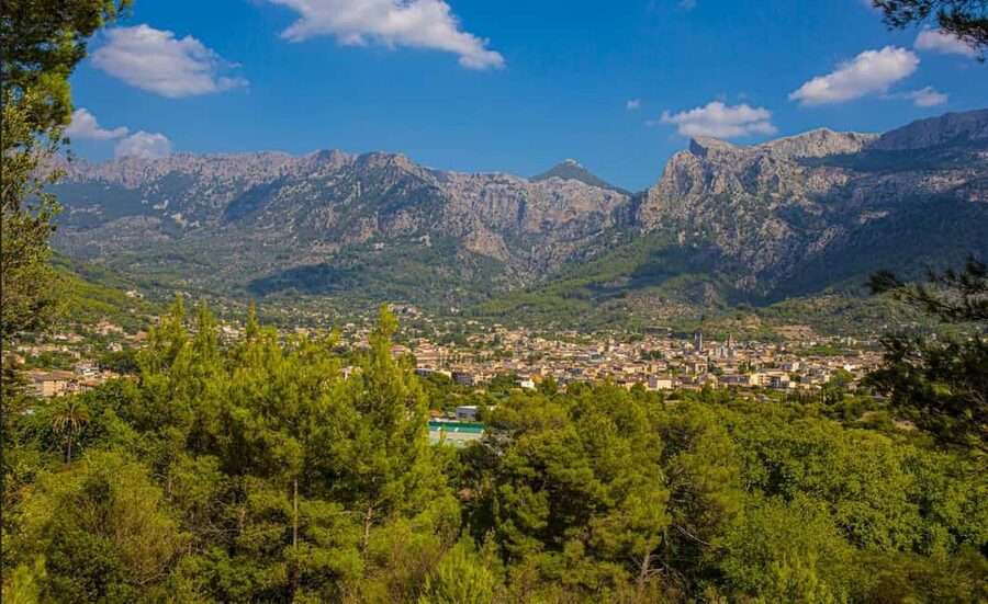 From Alcúdia: Soller Train and Tram Half Day Tour - The return coach and the real time cost