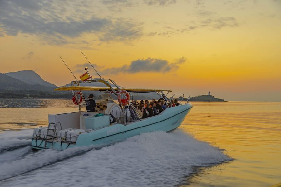 From Alcudia: Sunrise Dolphin Watching Boat Tour - Choosing the trip for families and children