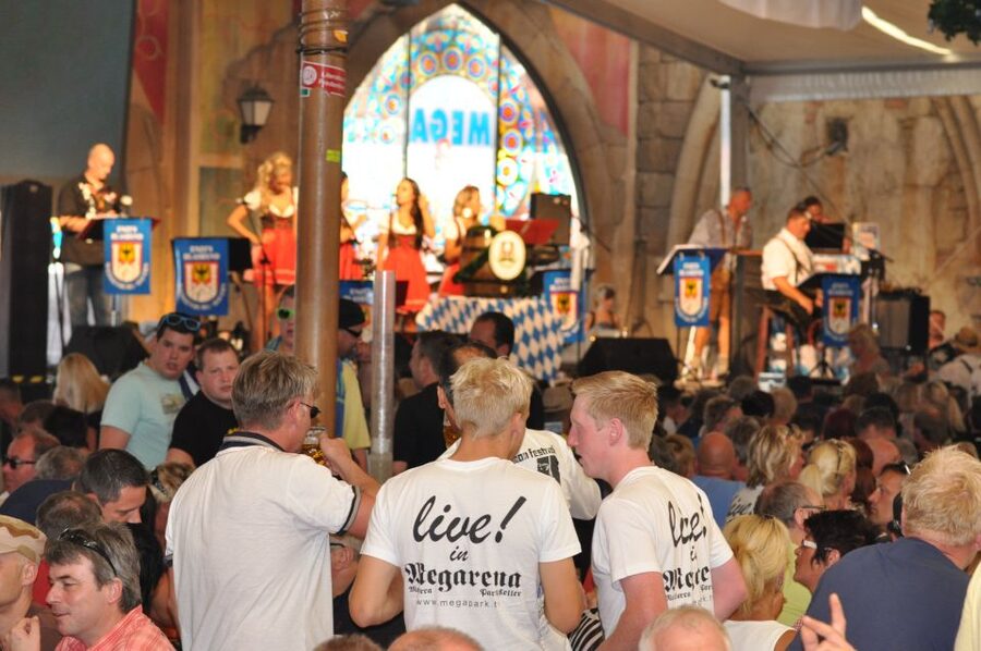 From Can Picafort: Ballermann Night Tour by Bus - Booking details worth checking before you go