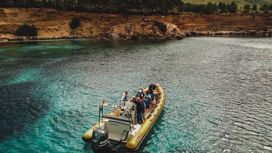 From Can Picafort: Dolphin Watching and Cave Boat Trip - Key points to know before you go